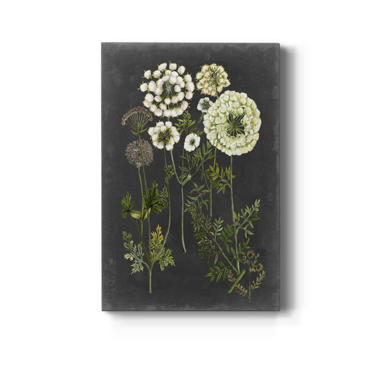 Bookplate Floral II Premium Gallery Wrapped Canvas - Ready to Hang