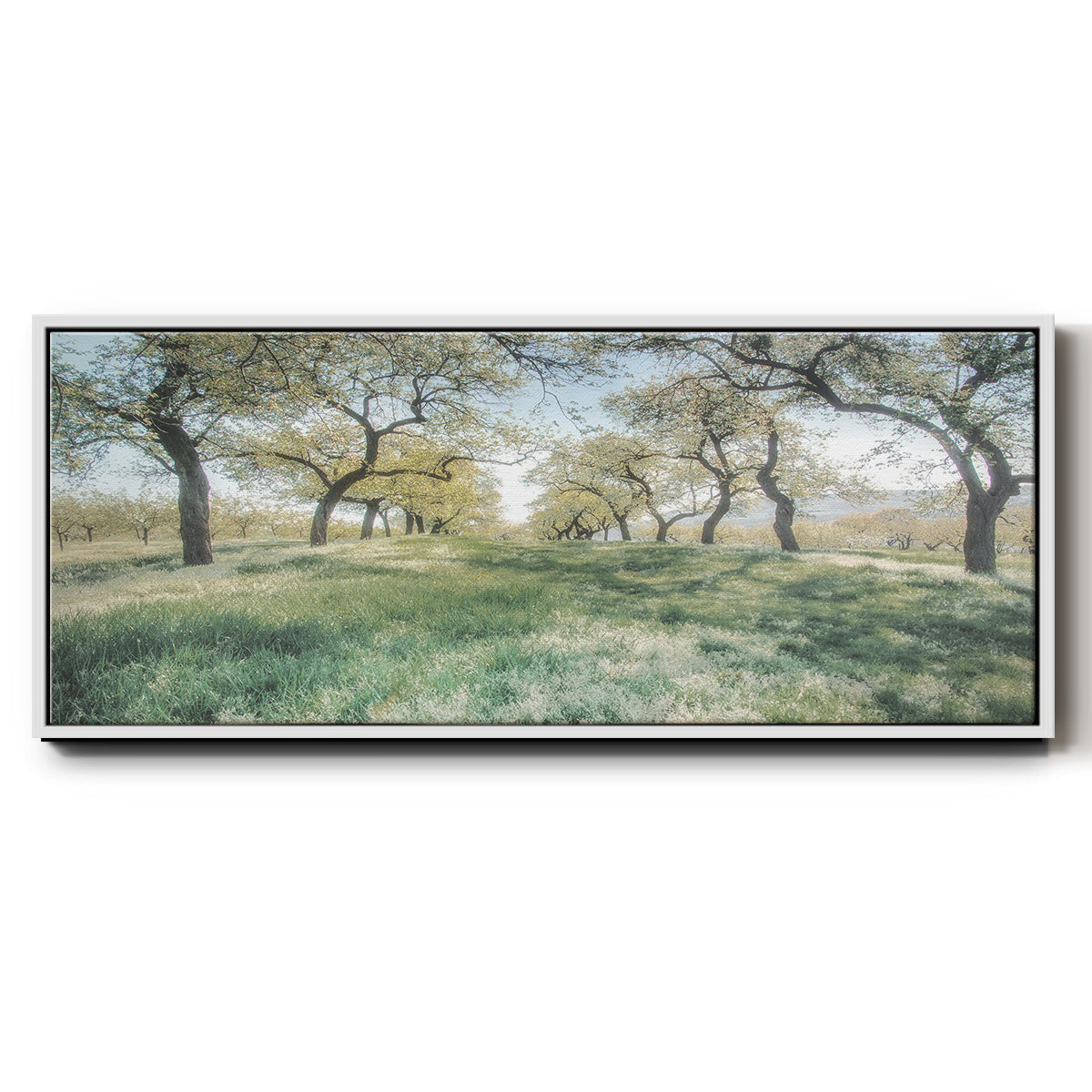 Charming Spring Mood - Floater Framed Canvas Print