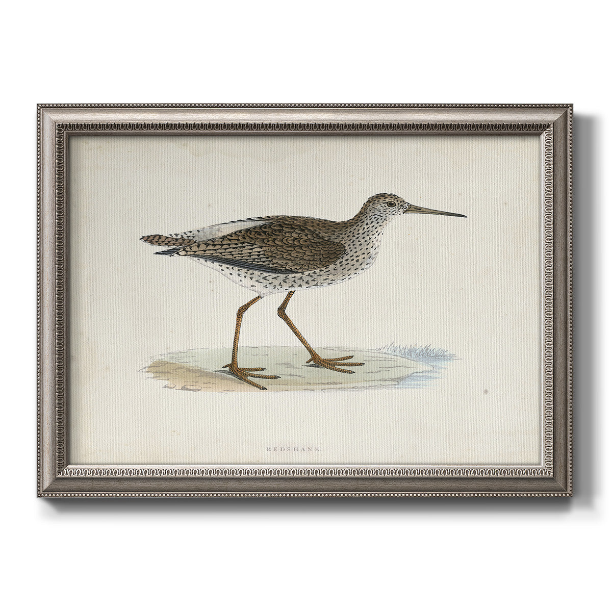 Morris Sandpipers V Premium Framed Canvas- Ready to Hang