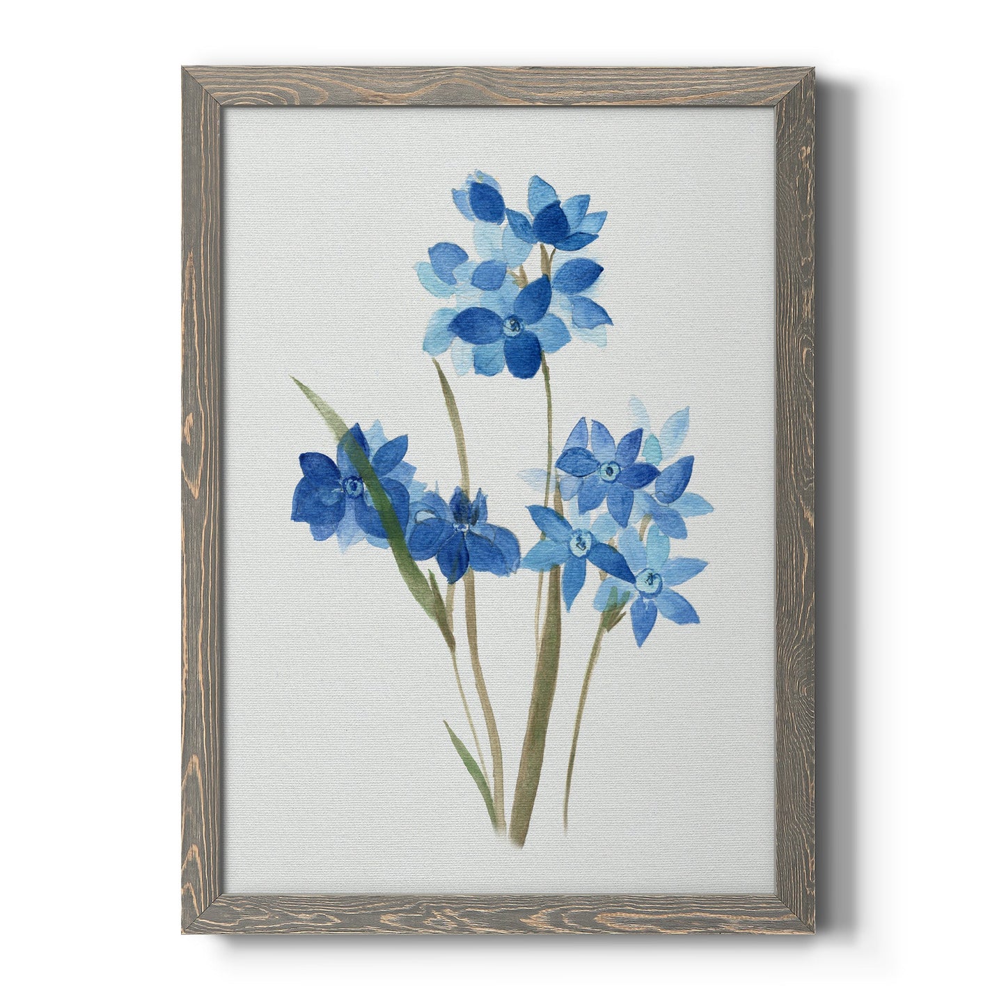 Blue Blossom Botanical I - Barnwood Framed Canvas Print