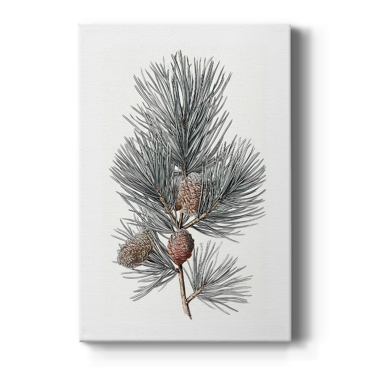 Pearled Promise - Canvas Art Print