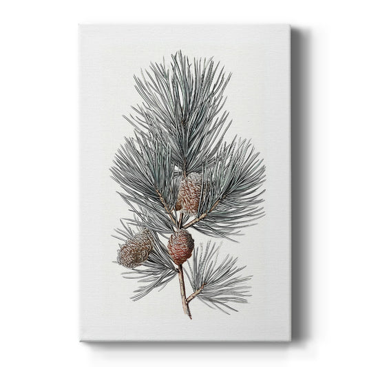 Pearled Promise - Canvas Art Print