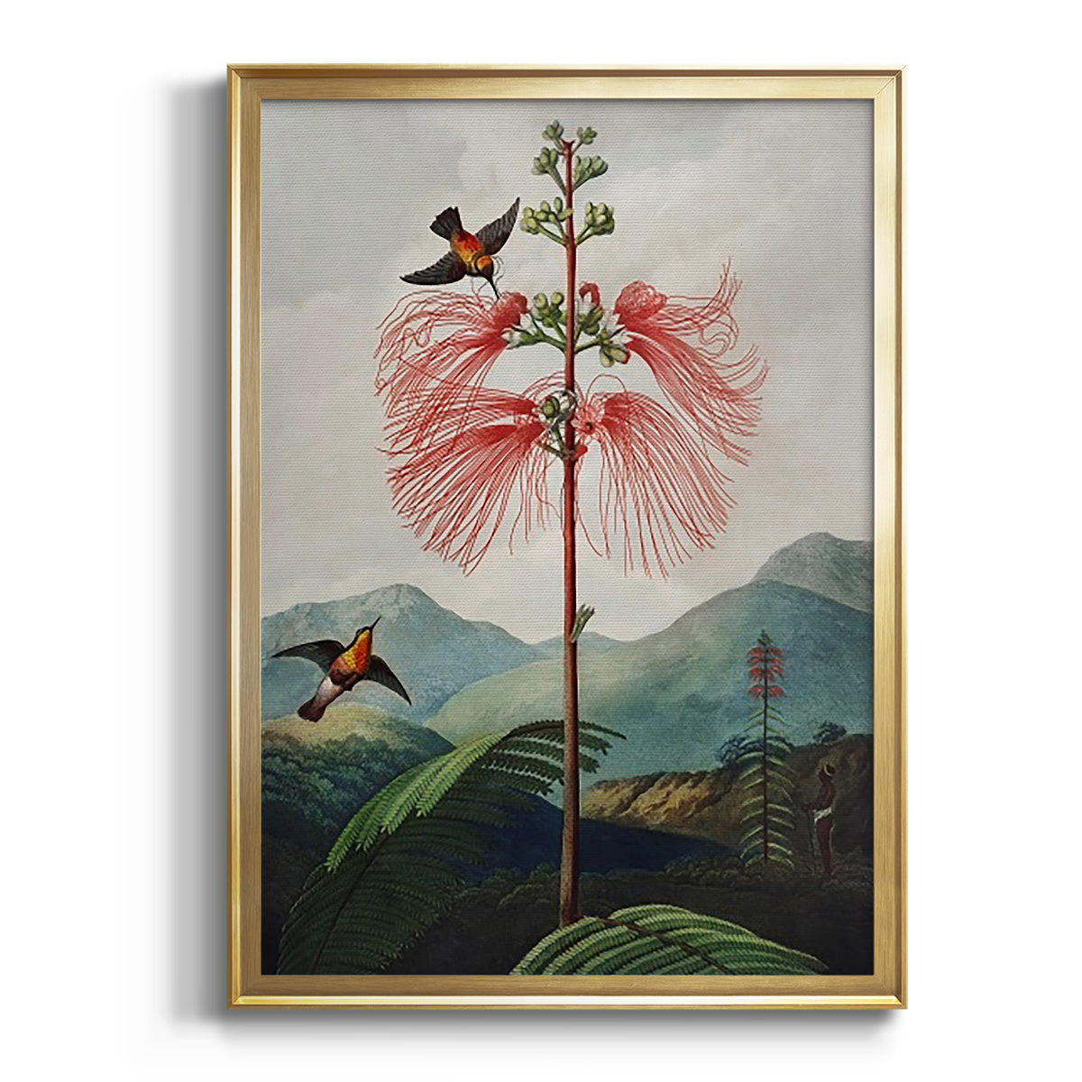 Temple of Flora VIII - Modern Framed Canvas Print