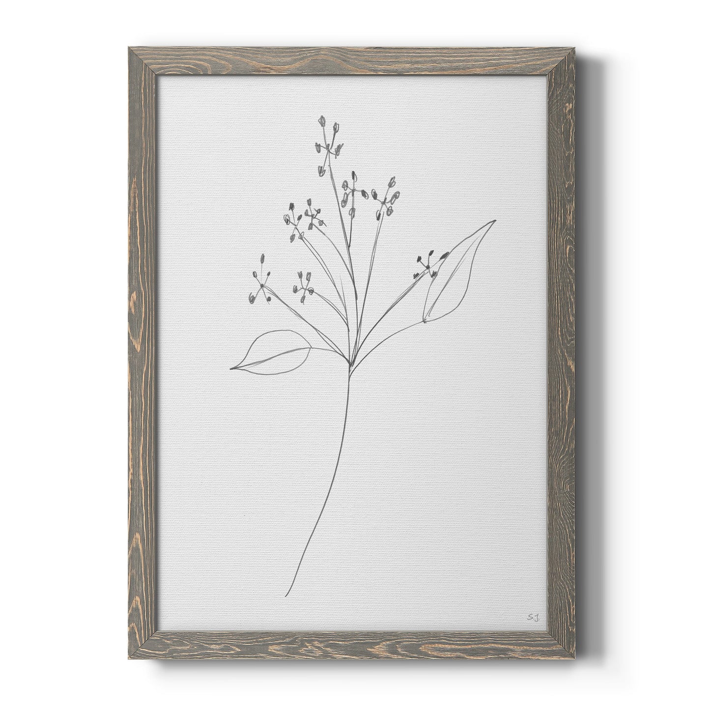 Botanical Gesture V - Barnwood Framed Canvas Print