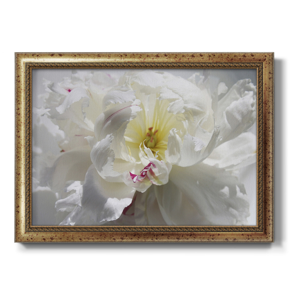 Breathless III Premium Framed Canvas- Ready to Hang