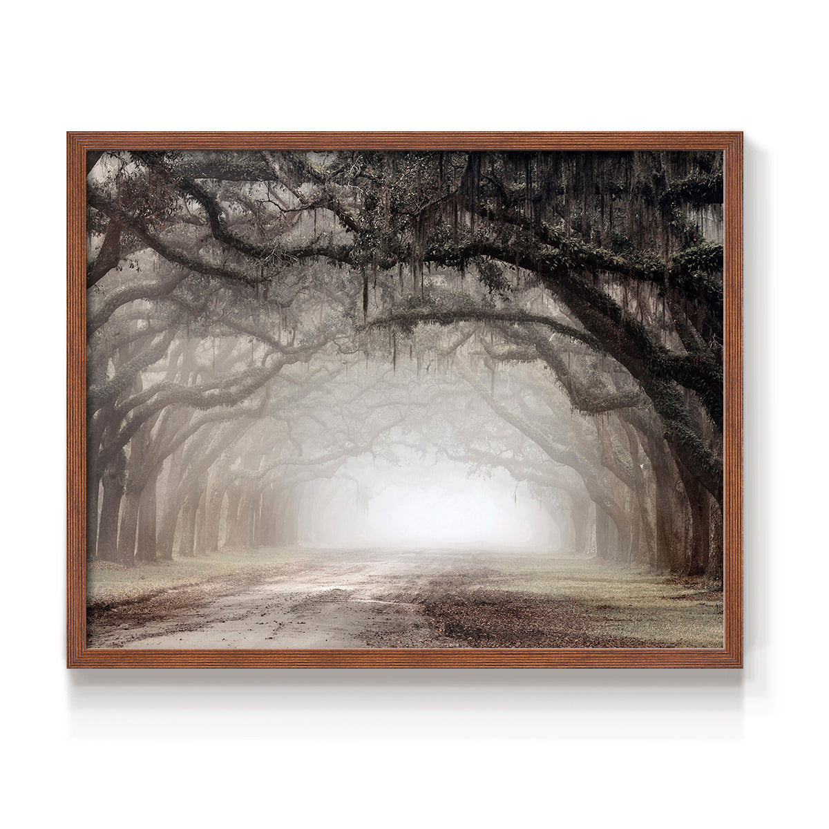 Timeless Plantation Drive - Restickable Framed Art Print