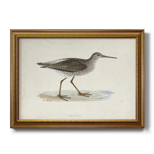 Morris Sandpipers V Premium Framed Canvas- Ready to Hang