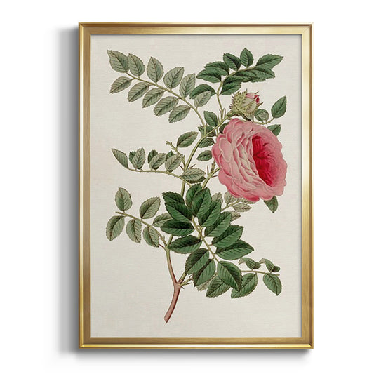 Pink Floral Mix I - Modern Framed Canvas Print