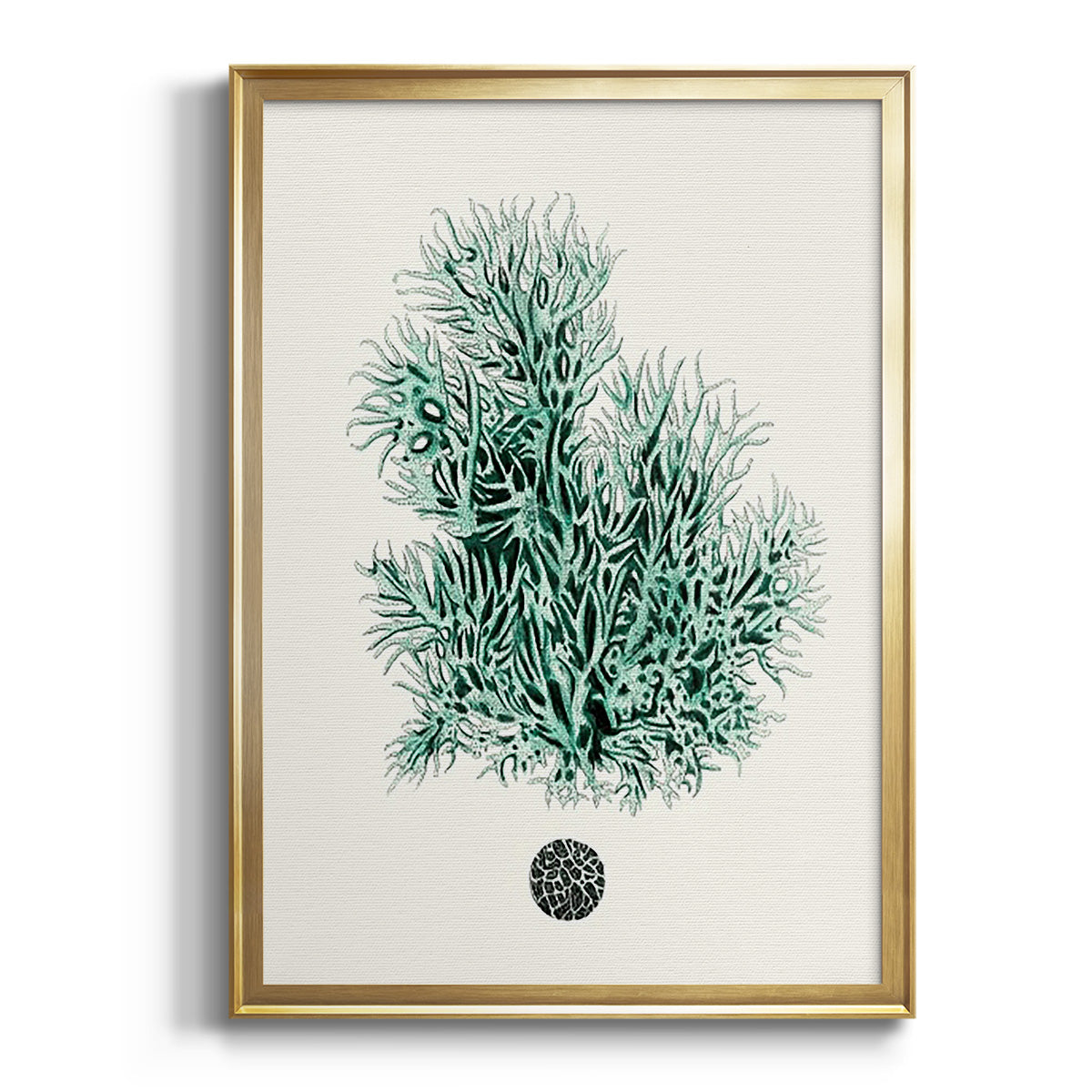 Antique Coastal Coral V - Modern Framed Canvas Print