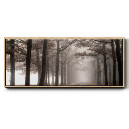 Misty Road - Floater Framed Canvas Print