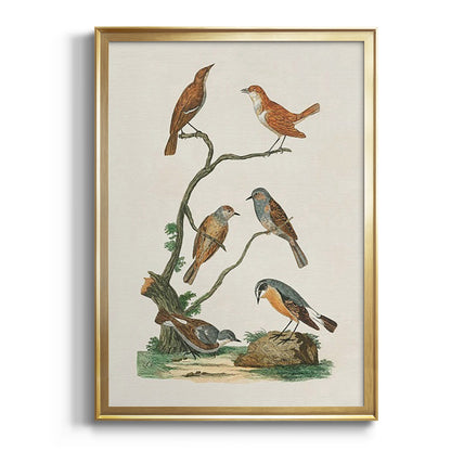 Antique Birds in Nature IV - Modern Framed Canvas Print