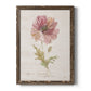 Soft Poppy - Barnwood Framed Canvas Print