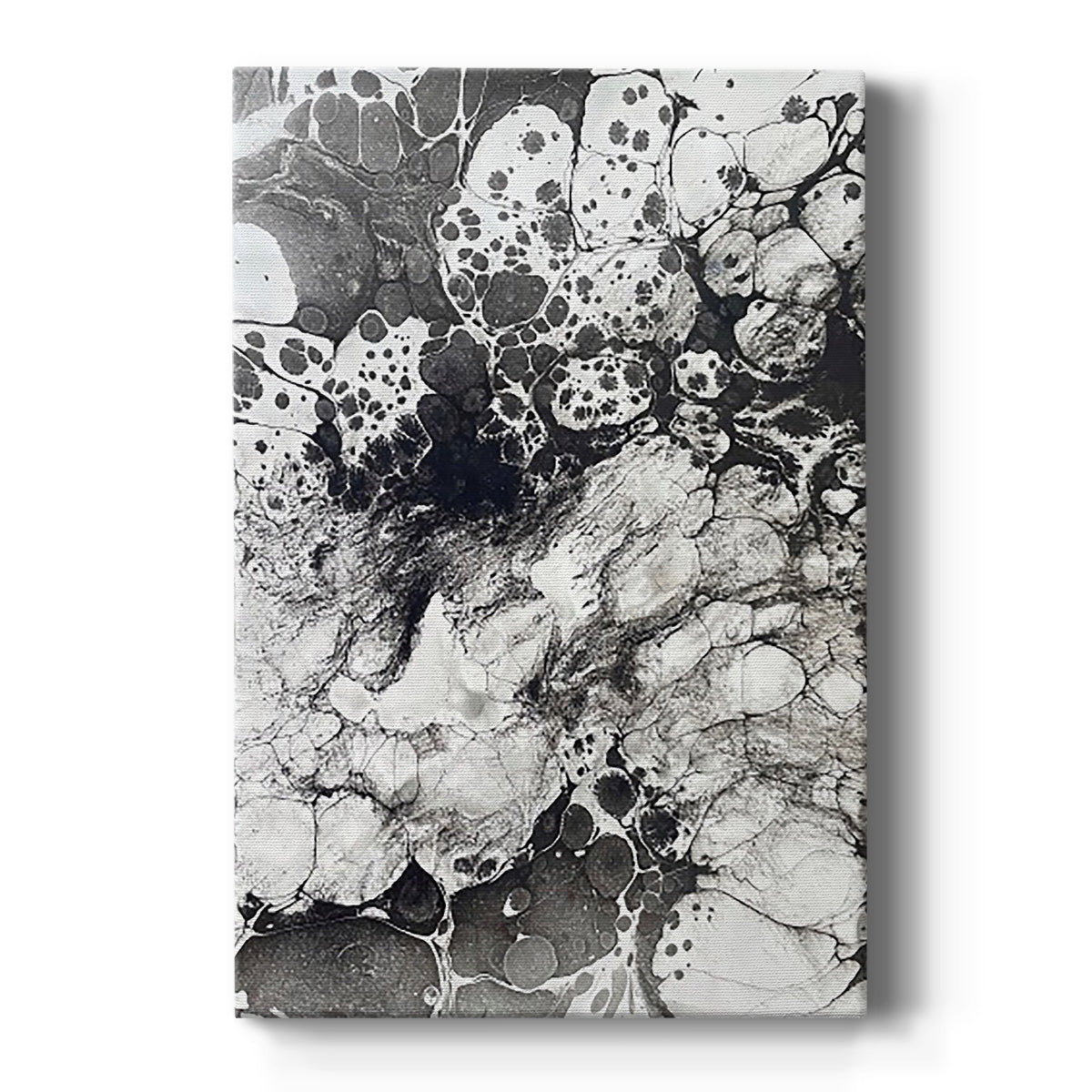 Marbling IX - Canvas Art Print