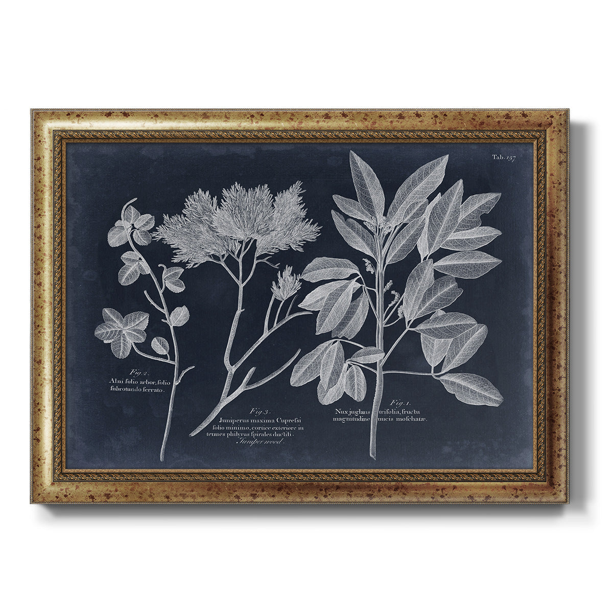 Foliage on Navy VI Premium Framed Canvas- Ready to Hang