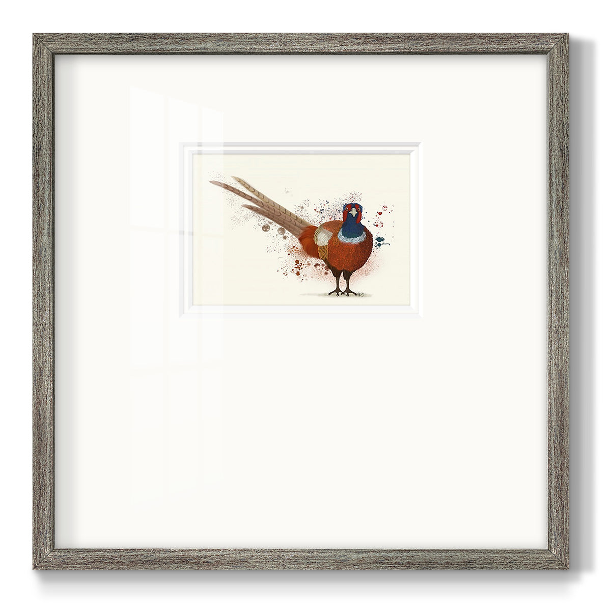 Pheasant Splash 7 Premium Framed Print Double Matboard