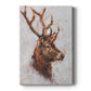 Stag Study II Premium Gallery Wrapped Canvas - Ready to Hang