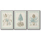 Willow Blue Besler IV - Floater Framed Canvas Set