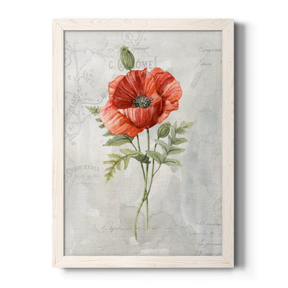 Linen Poppy - Premium Canvas Framed in Barnwood - Ready to Hang