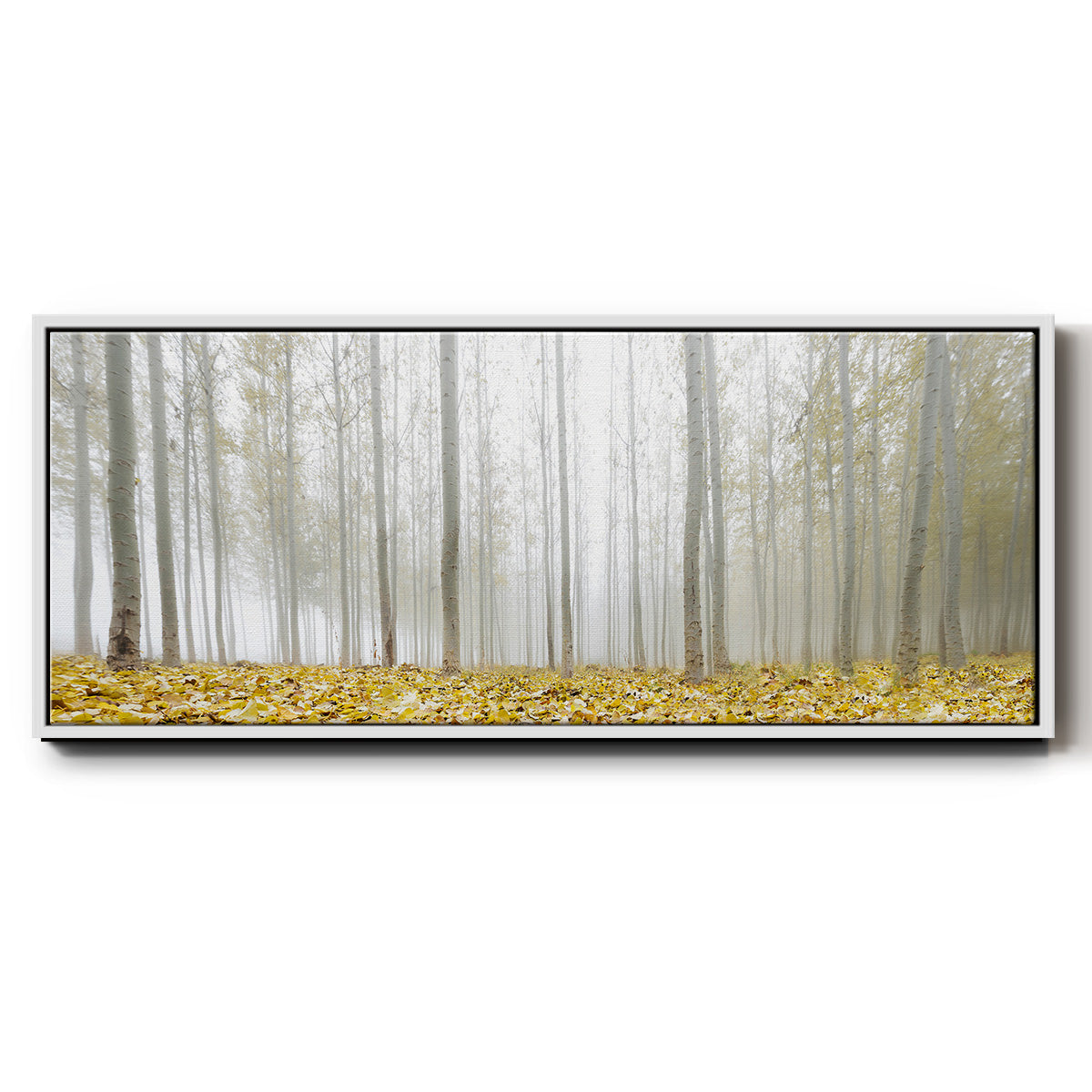 Poplar Grove - Floater Framed Canvas Print