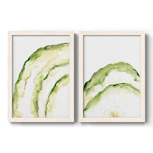 Lichen Halo I - Barnwood Framed Canvas Set