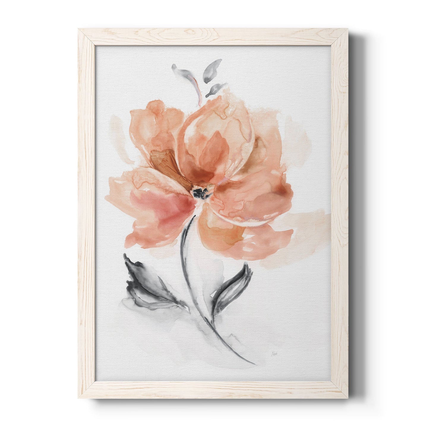 Soft Sensation I - Barnwood Framed Canvas Print