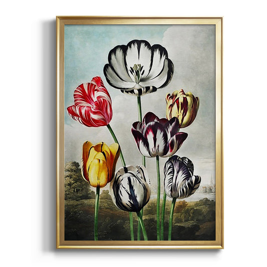 Temple of Flora VI - Modern Framed Canvas Print