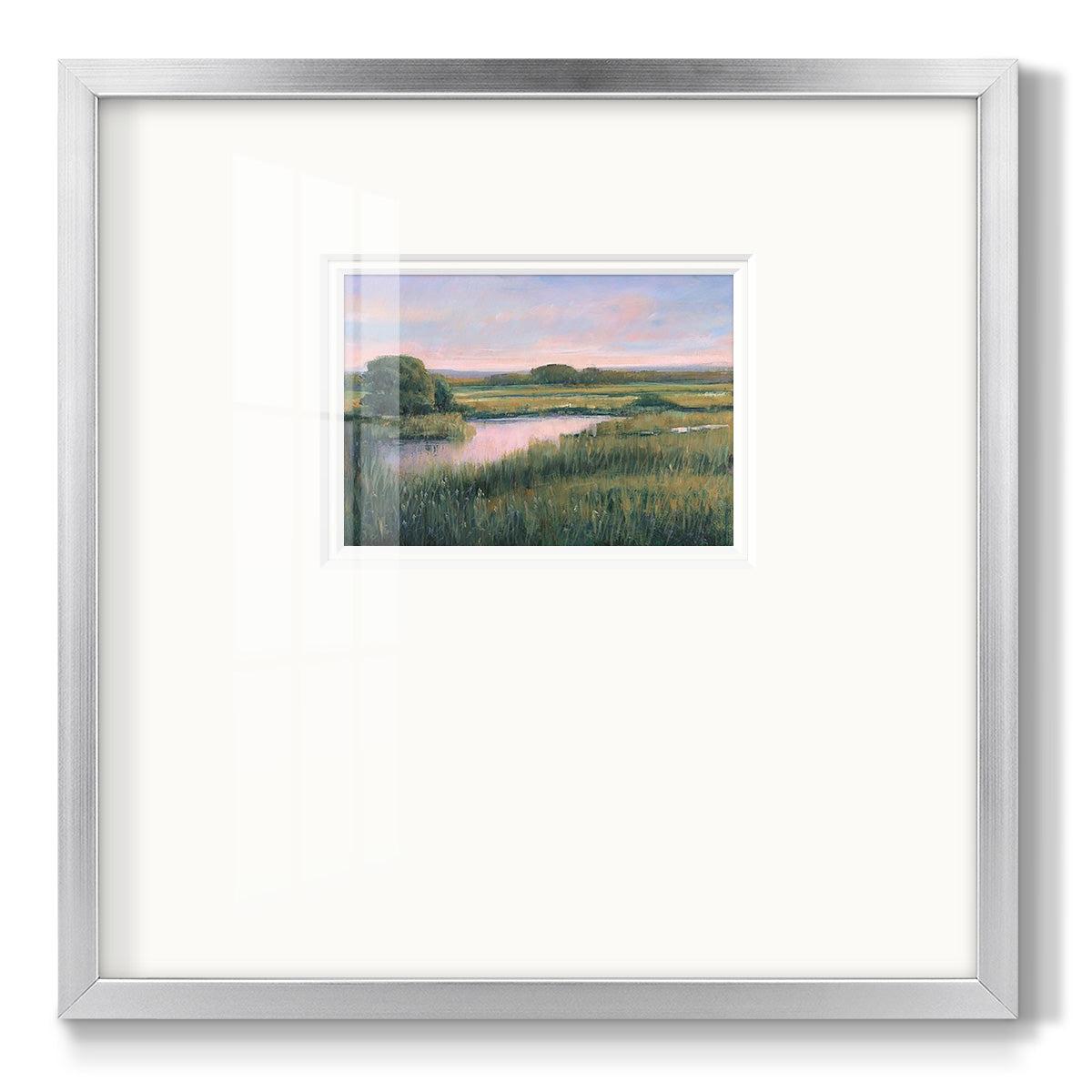 Spring Marsh I Premium Framed Print Double Matboard