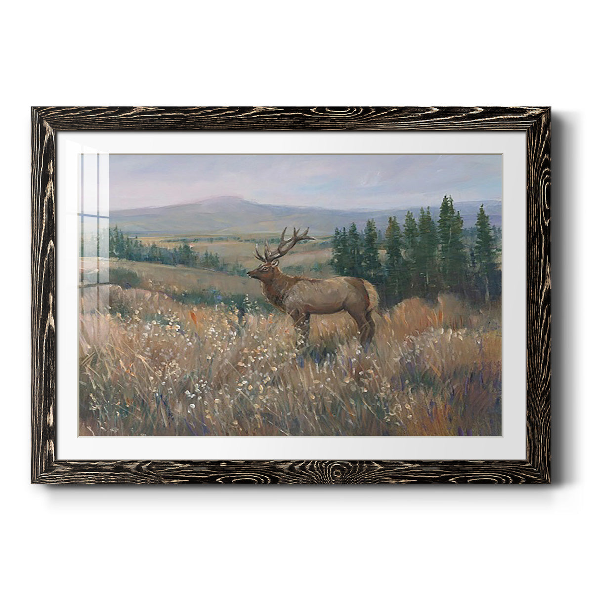 Western Wildlife II - Barnwood Framed Art Print