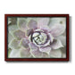 Succulent Glow II - Ornate Framed Canvas Print