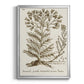 Sepia Botanical Journal I - Modern Framed Canvas Print