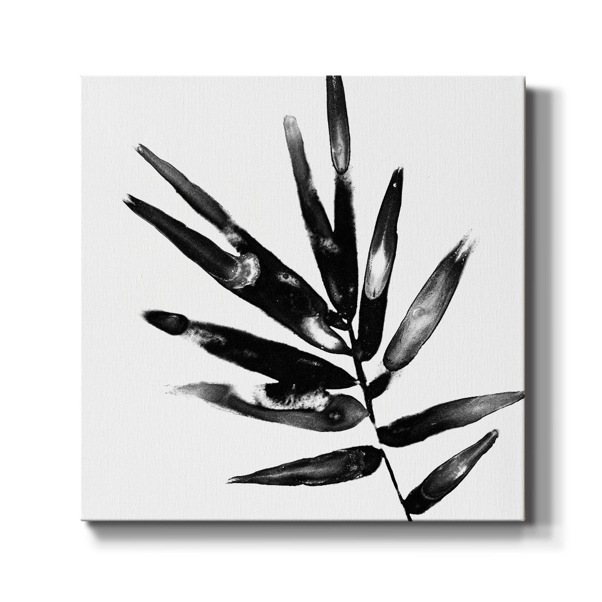 Monochrome Tropic IX - Canvas Art Print
