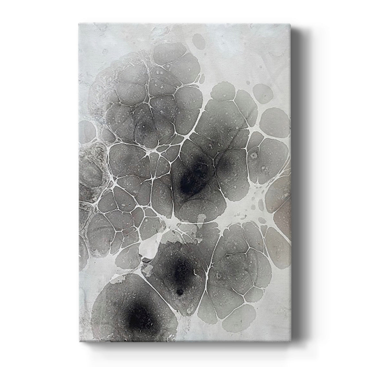 Marbling XI - Canvas Art Print