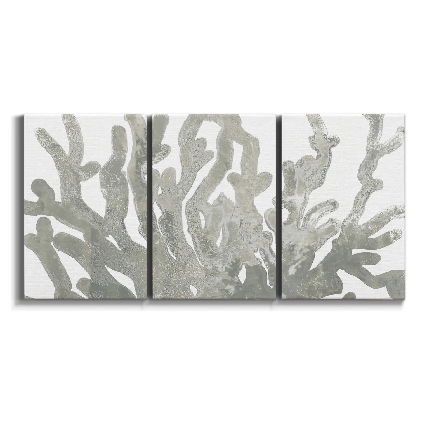 Three-panel canvas wall art featuring monochrome coral texture study on white background.