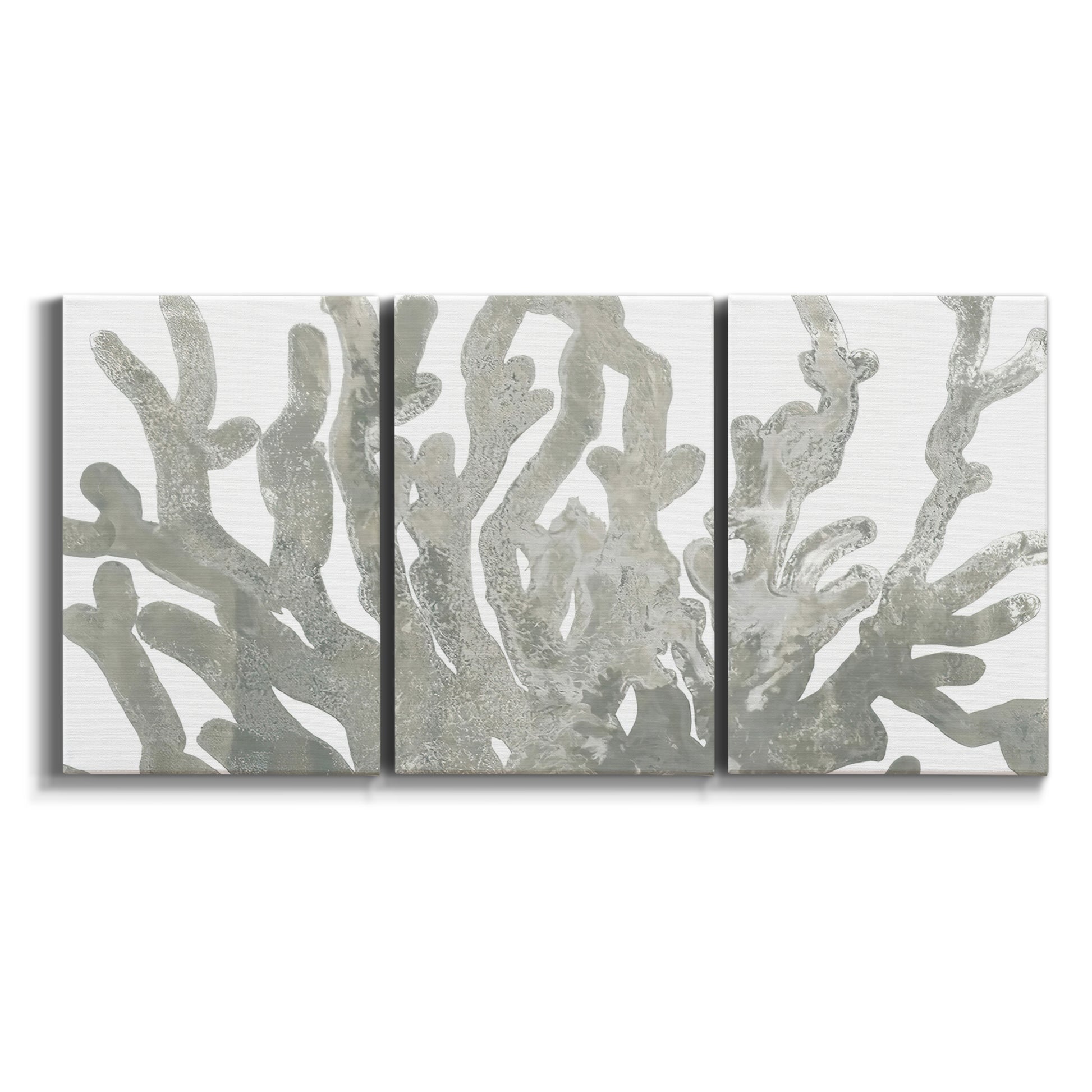 Three-panel canvas wall art featuring monochrome coral texture study on white background.