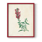 Traditional Botanical I - Restickable Framed Art Print