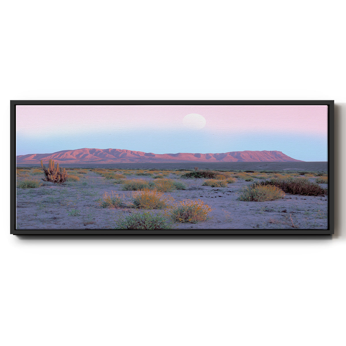Vallenar Atacama Desert - Floater Framed Canvas Print