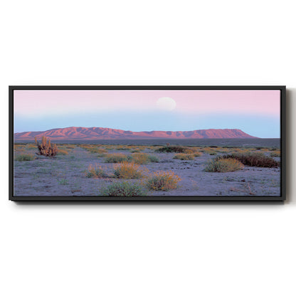 Vallenar Atacama Desert - Floater Framed Canvas Print