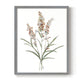 Dainty Botanical I - Restickable Framed Art Print