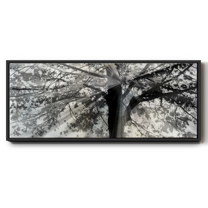 Story From Light and Shadow - Floater Framed Canvas Print