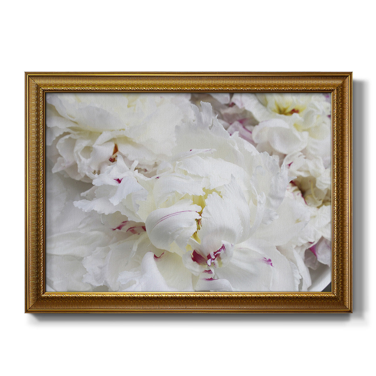 Breathless VI - Ornate Framed Canvas Print