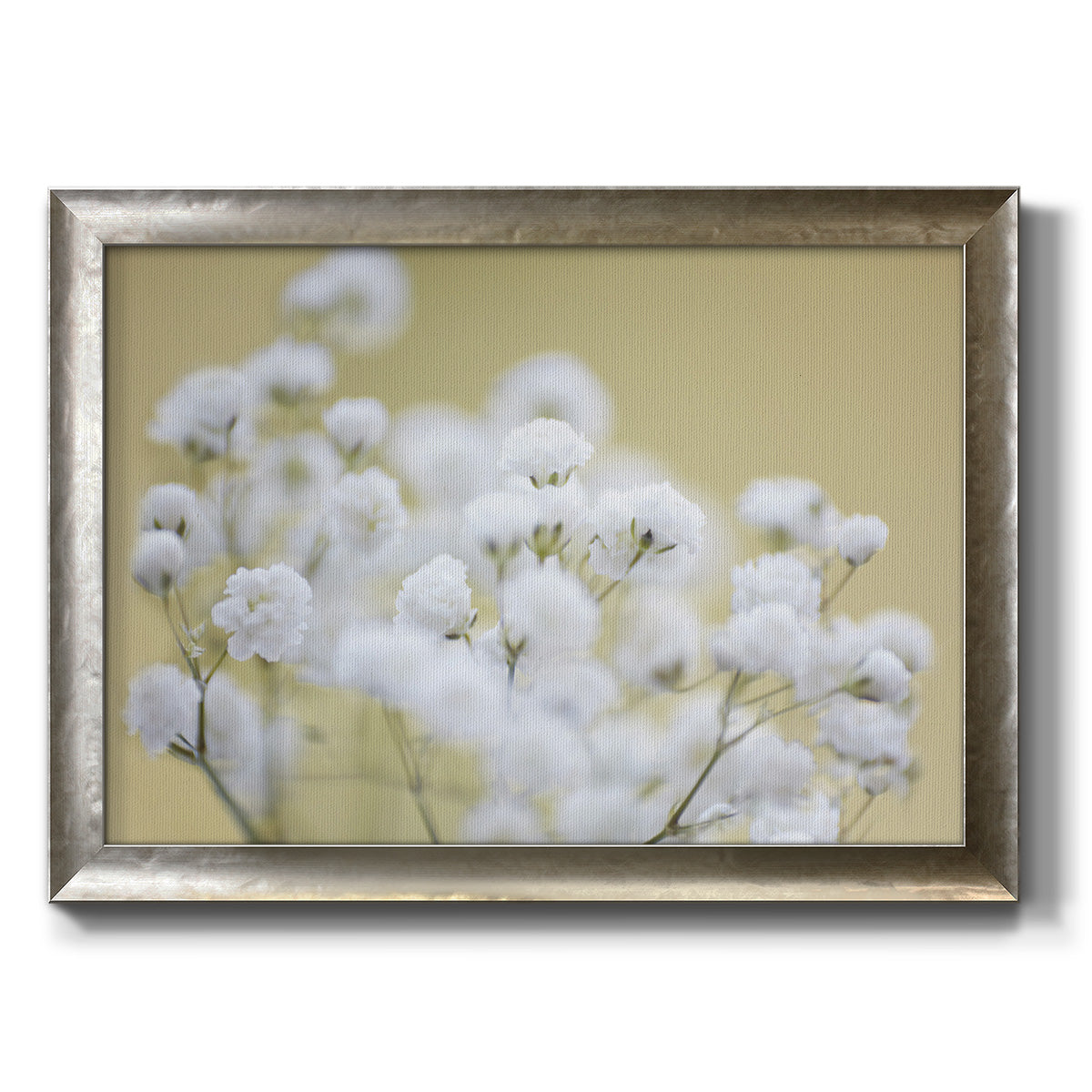 Baby's Breath Study III Premium Framed Canvas- Ready to Hang