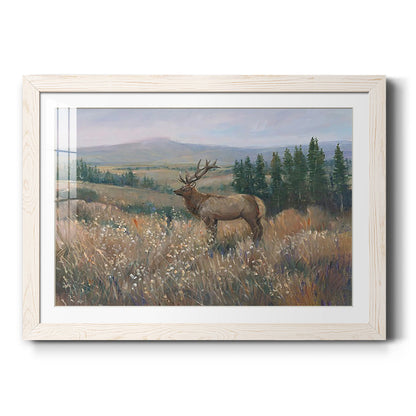 Western Wildlife II - Barnwood Framed Art Print