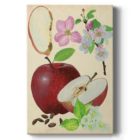 Apple & Blossom Study I Premium Gallery Wrapped Canvas - Ready to Hang