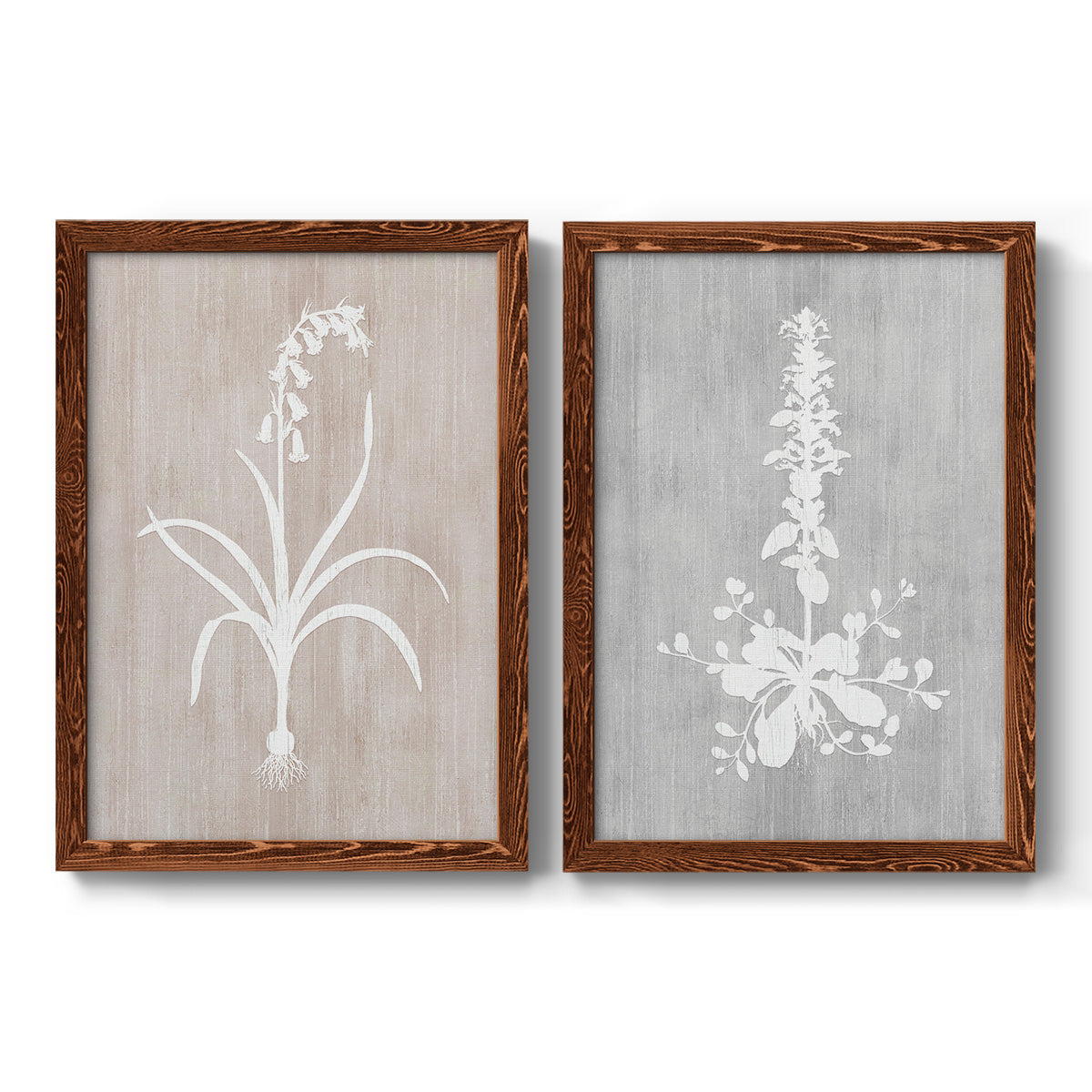 Set of two maple barnwood framed canvas prints featuring two rustic minimalist botanical prints featuring white botanical silhouettes on softly weathered neutral backgrounds.