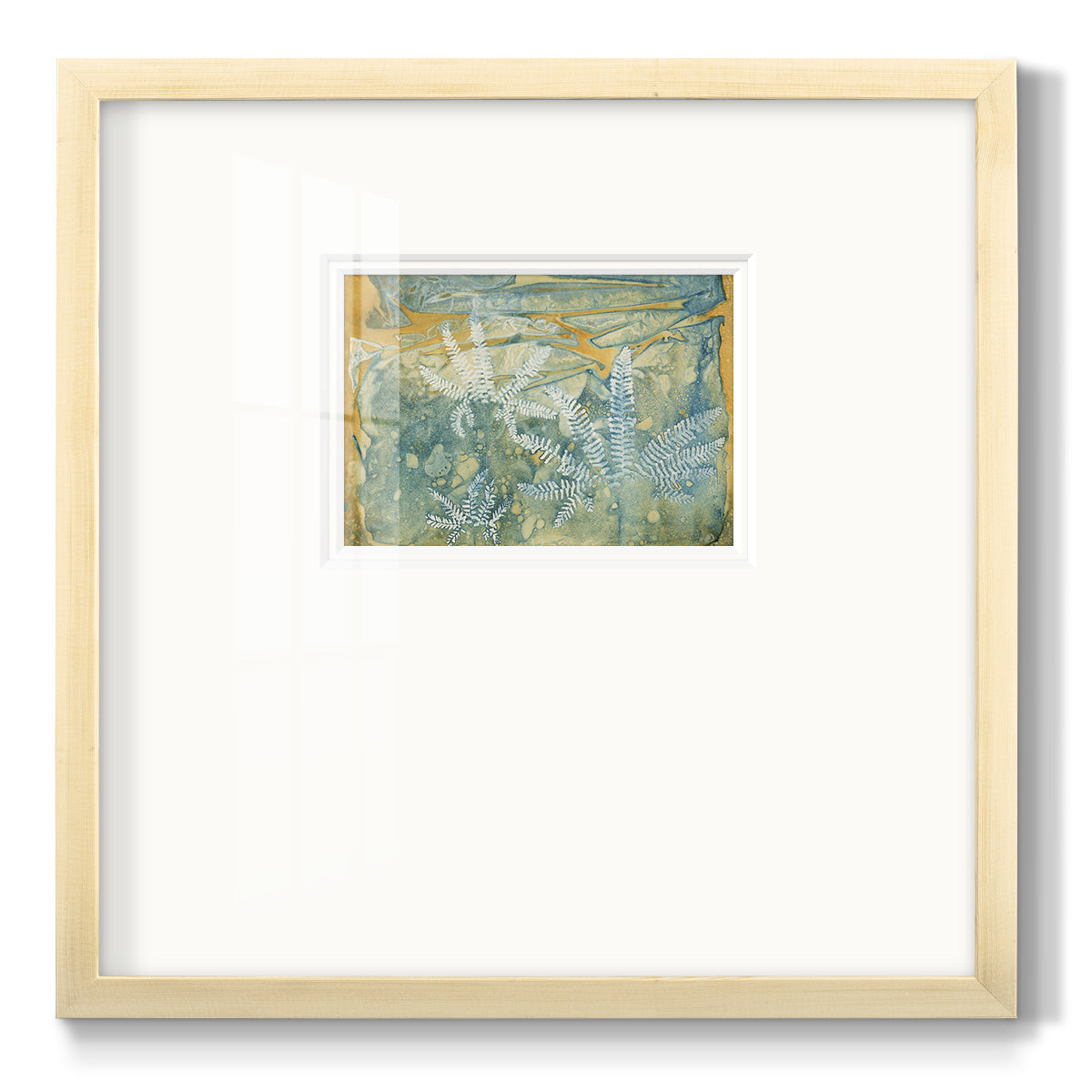 Floating Ferns - Double Matboard Framed Print