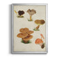 Mushroom Species V - Modern Framed Canvas Print