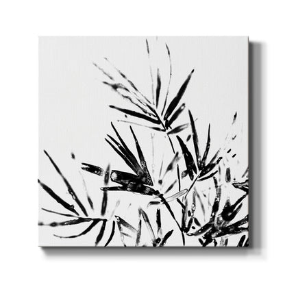 Monochrome Tropic II - Canvas Art Print