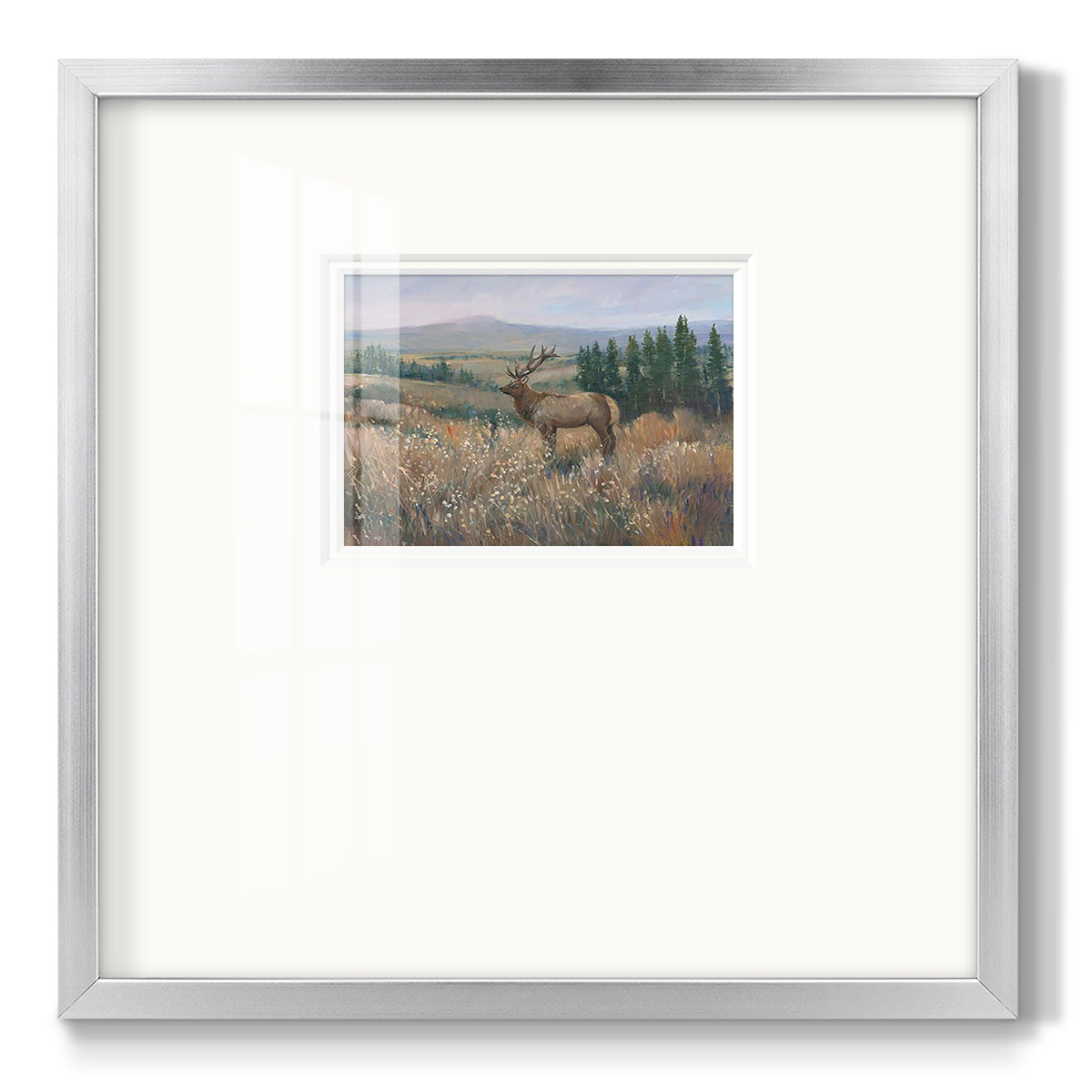 Western Wildlife II Premium Framed Print Double Matboard