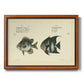 Bloch Antique Fish II Premium Framed Canvas- Ready to Hang