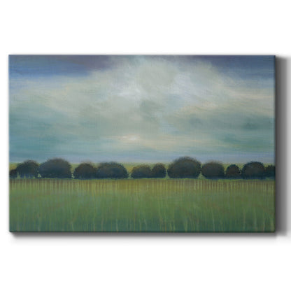 Greener Pastures - Canvas Art Print